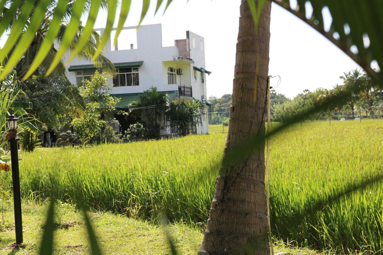 Manel Guest House Polonnaruwa Eksteriør bilde