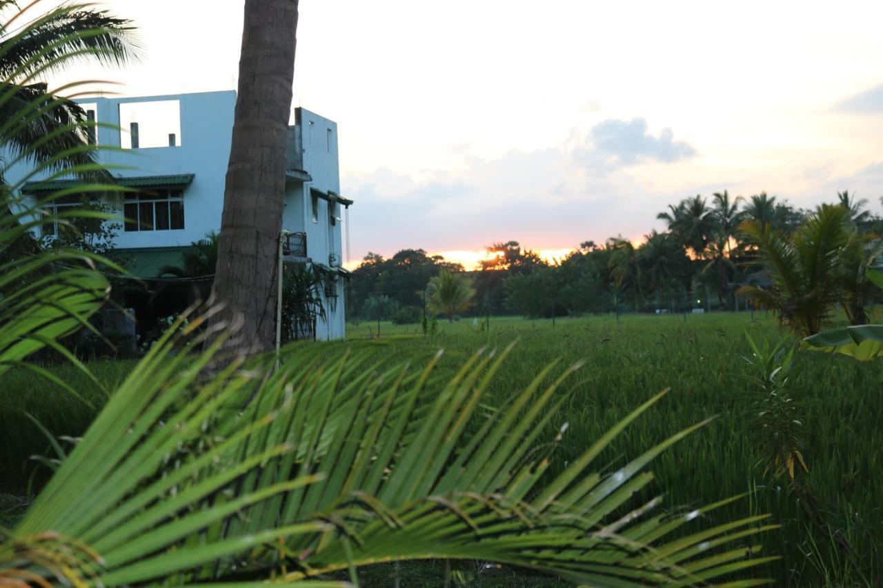 Manel Guest House Polonnaruwa Eksteriør bilde